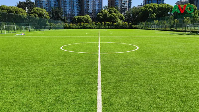 體育公園該如何建設？